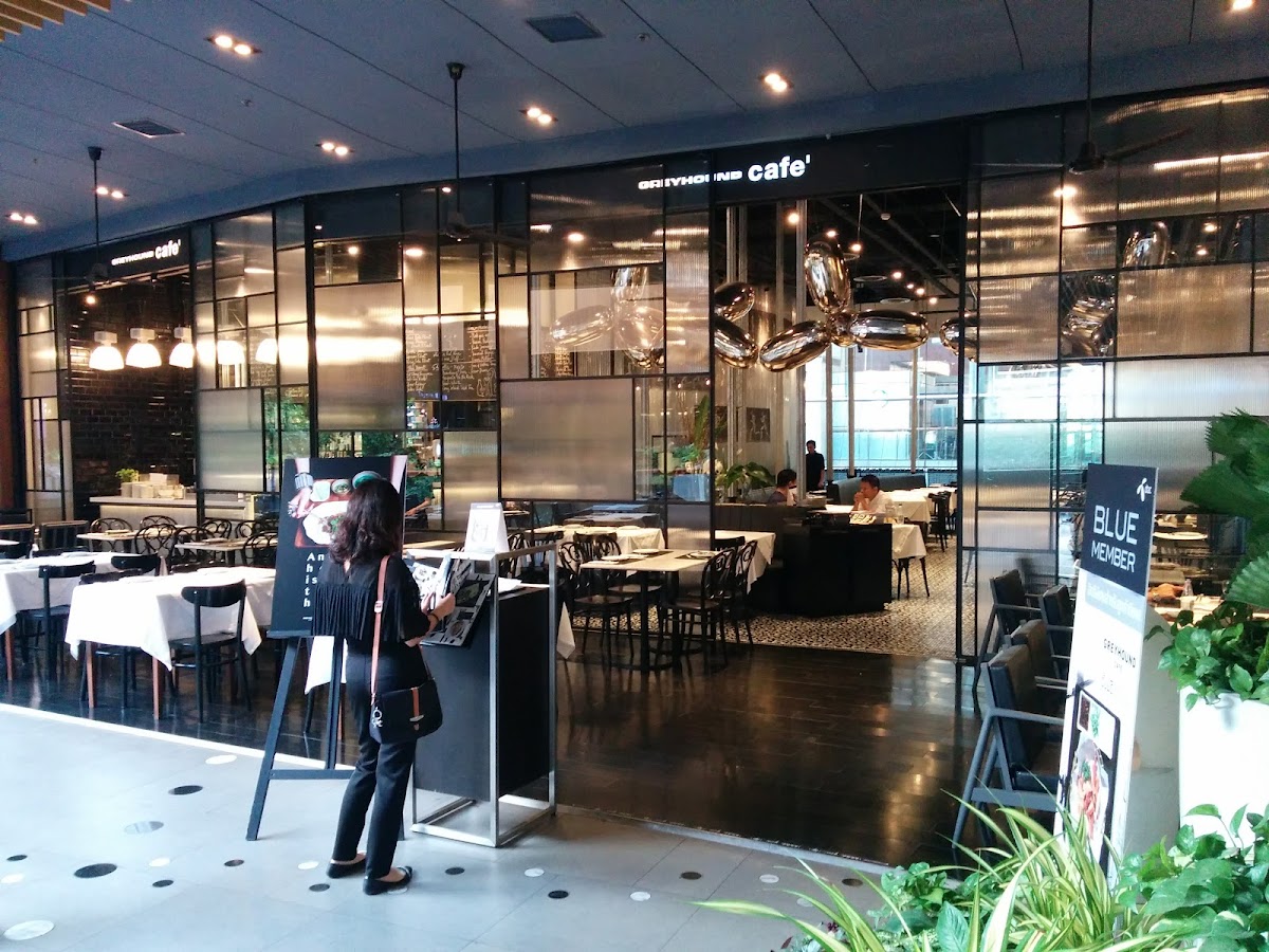 Greyhound Café Groove at CentralWorld