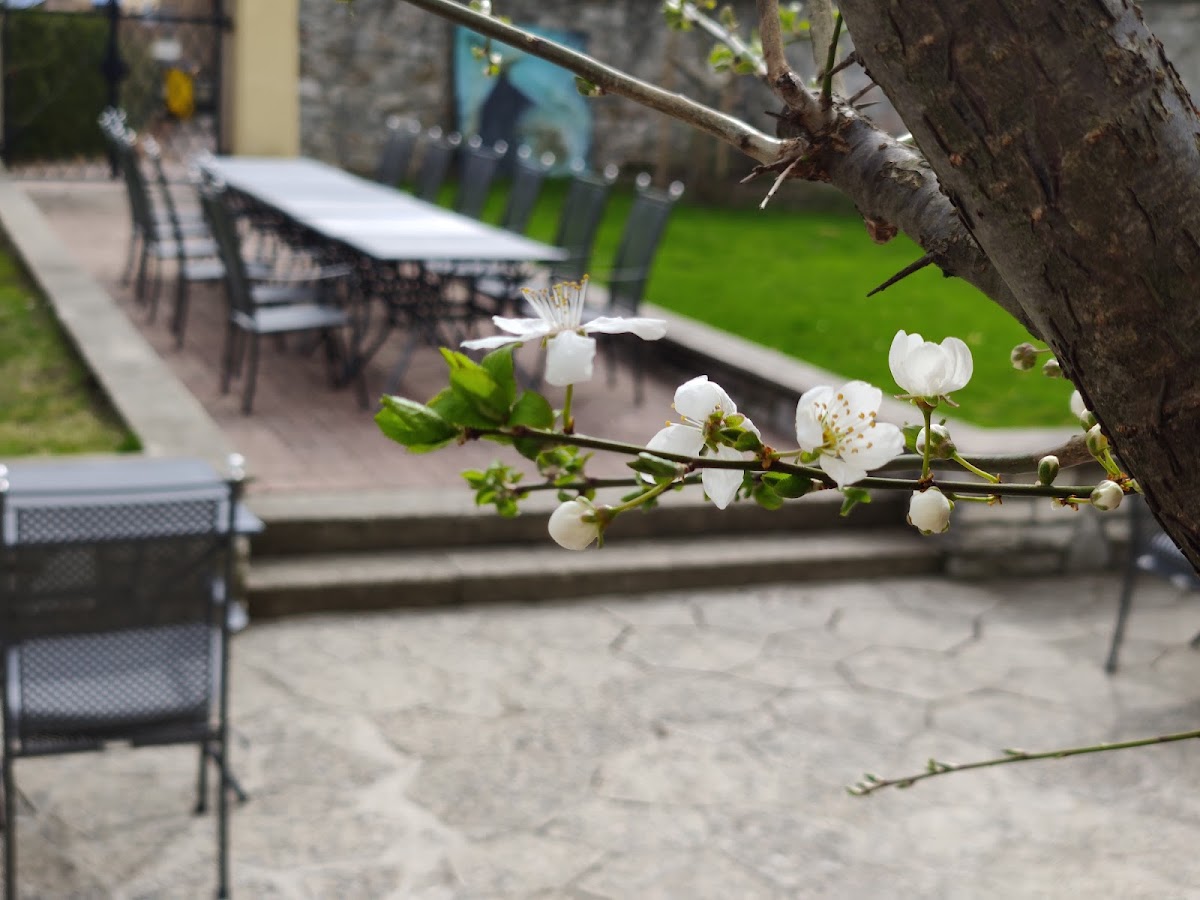 Café PurPur Wiespach