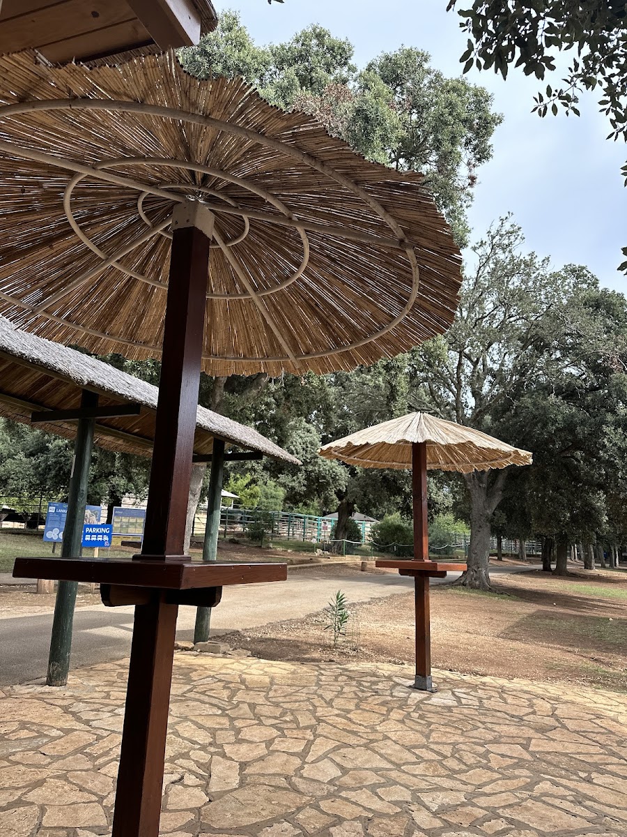 Caffe bar Sony & Lanka, NP Brijuni