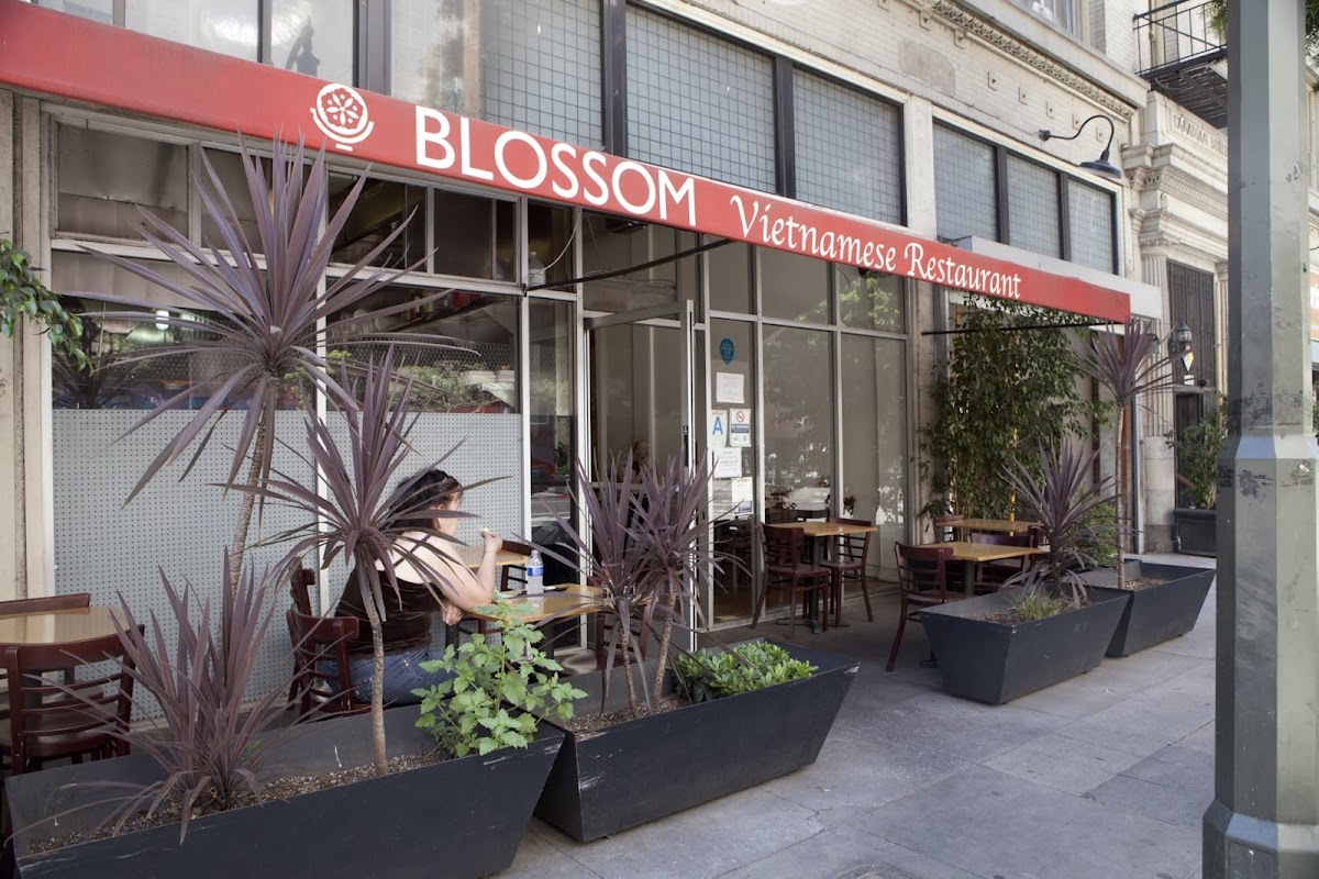 Blossom Vietnamese restaurant